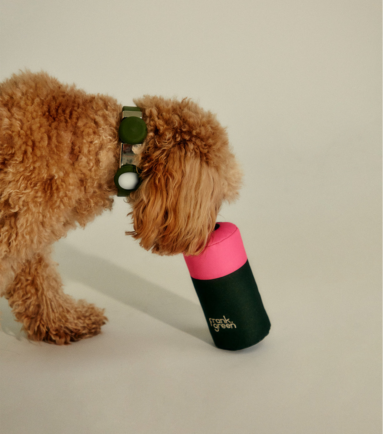 Durable Squeaky Dog Toys for Small & Large Dogs - Interactive Chew Toys for Puppies & Adult Dogs - Perfect for Playtime, Training & Teething Relief