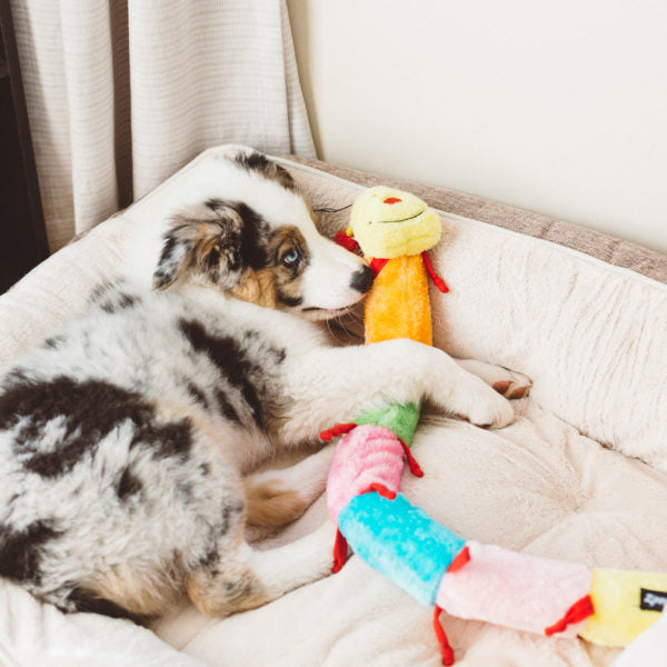 Zippy Caterpillar Blasters with Super Squeakers - Interactive Plush Toy for Kids & Toddlers - Perfect for Playtime, Learning, and Sensory Development