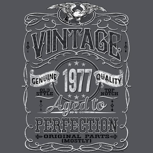 Vintage 1977 Aged to Perfection 48th Birthday Gift T-Shirt for Men - Funny 48 Year Old Present Idea - Perfect for Birthday Parties & Celebrations