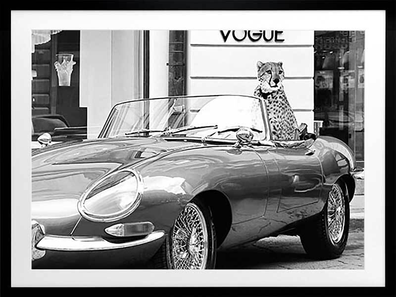 Stylish Cat Art Print Framed Wall Decor - Perfect for Living Room, Bedroom & Office Décor