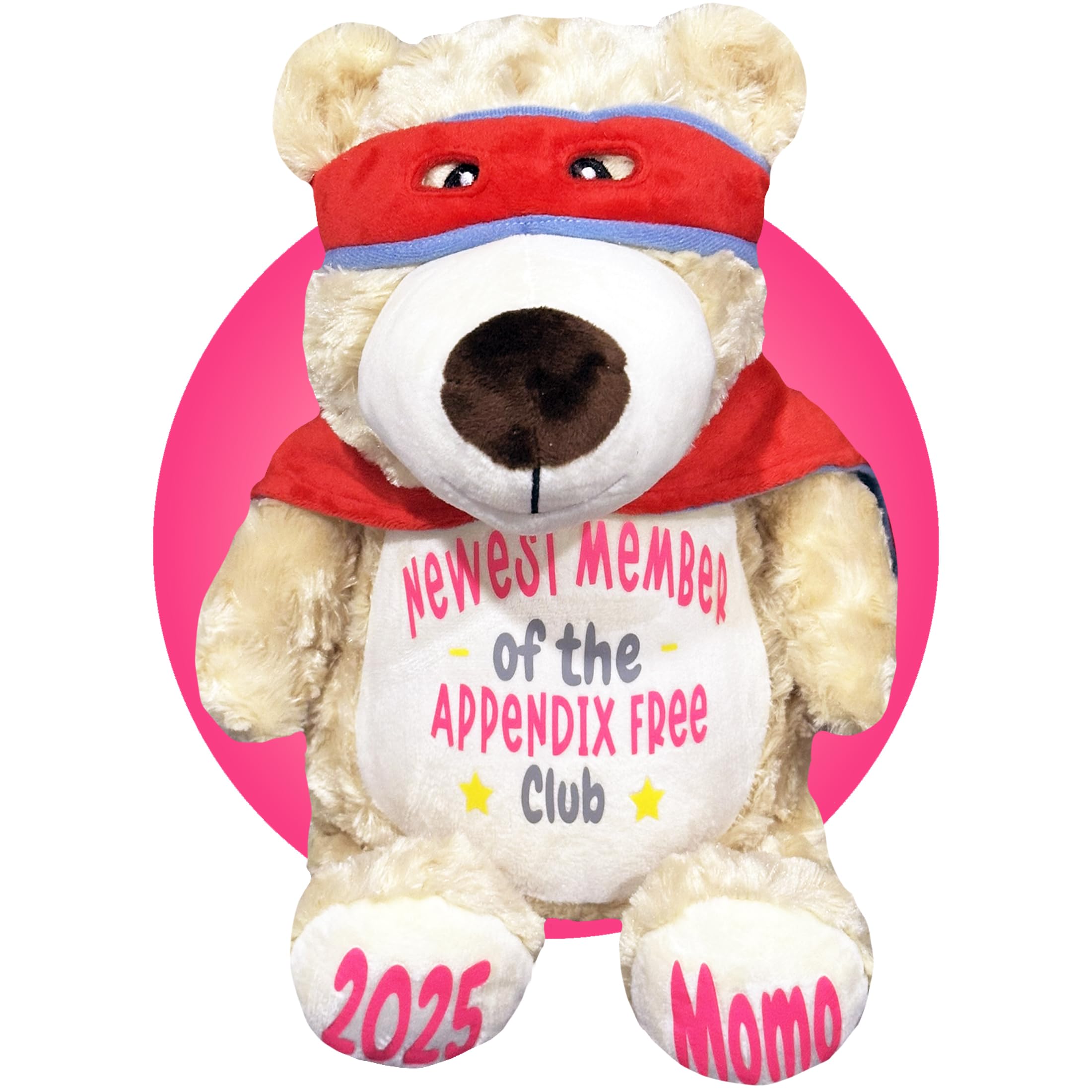Personalized Appendix Plush Toy - Superhero Bear Stuffed Animal for Appendix Surgery Recovery & Get Well Soon Gifts | Appendectomy Comfort Gift for Kids & Adults | Perfect Post-Surgery Gift for Hospital Stay & Recovery at Home