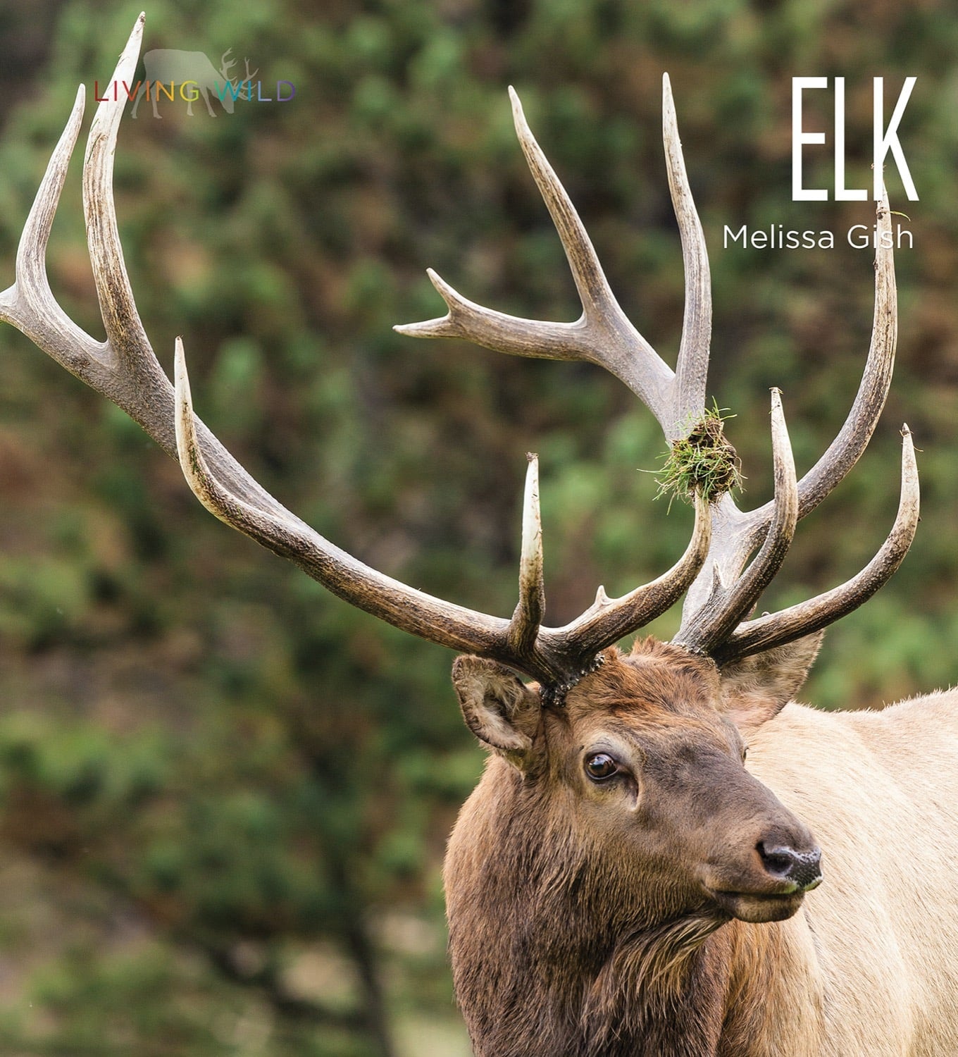 Elk 9781608188291 - Premium Elk-Themed Book for Nature Enthusiasts | Perfect for Wildlife Reading & Outdoor Adventure Inspiration