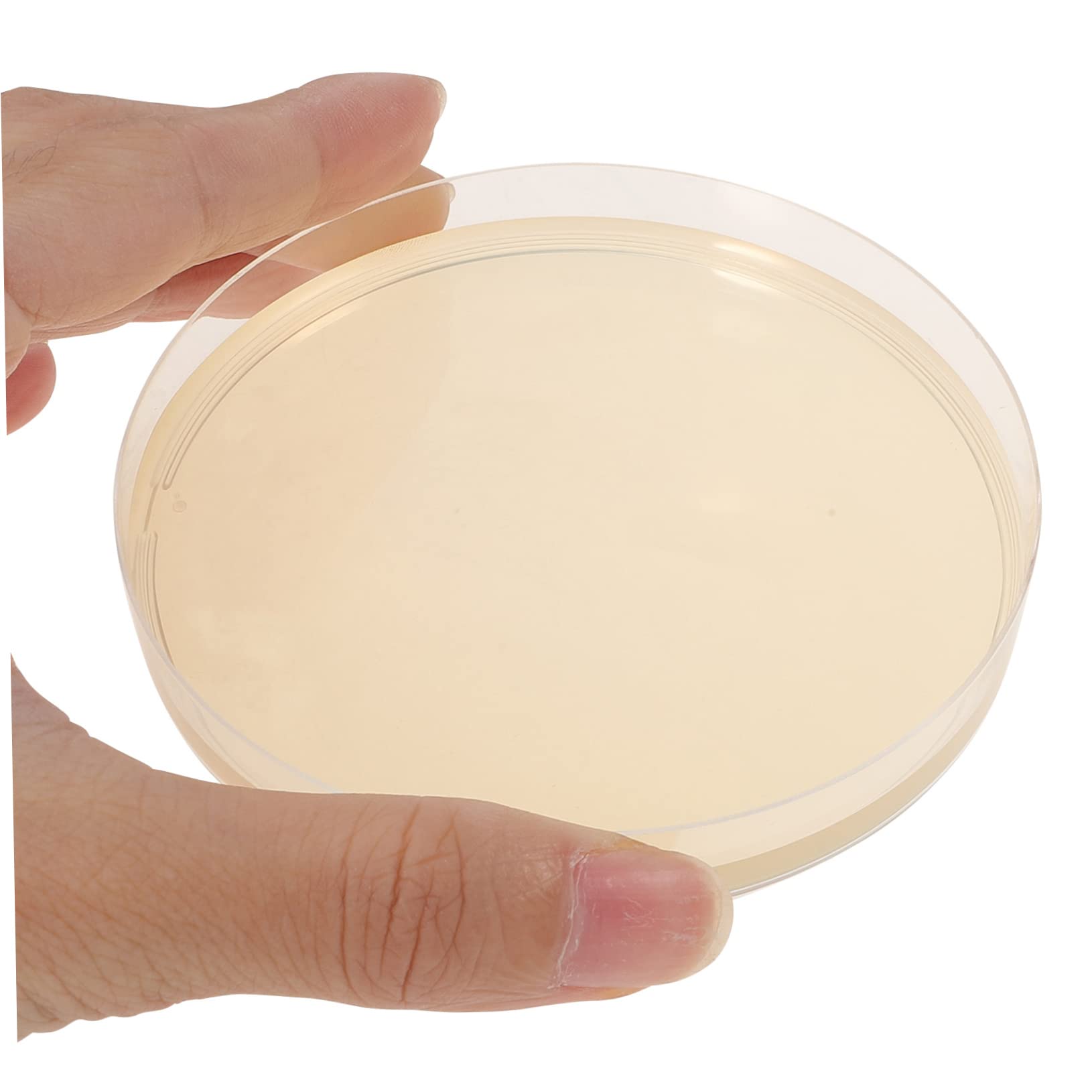 10pcs Nutrient Agar Petri Dishes - Borosilicate Glass Lab Plates for Microbiology Experiments | Perfect for Bacterial Cultures, Science Classrooms & DIY Biology Projects