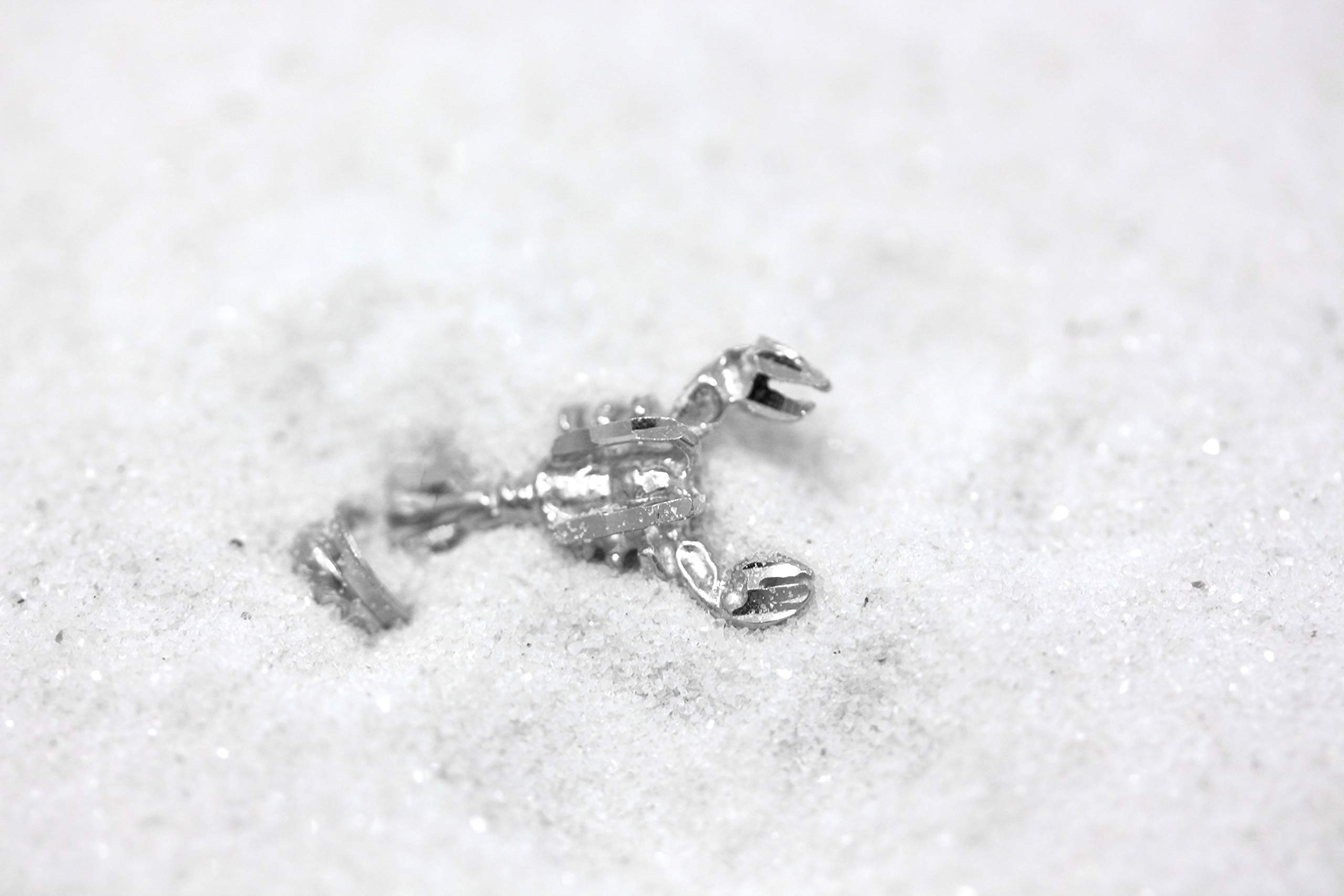 June July Zodiac Charm Necklace - Sterling Silver Crab Cancer Pendant for Women, Gift for Birthday, Anniversary & Everyday Wear