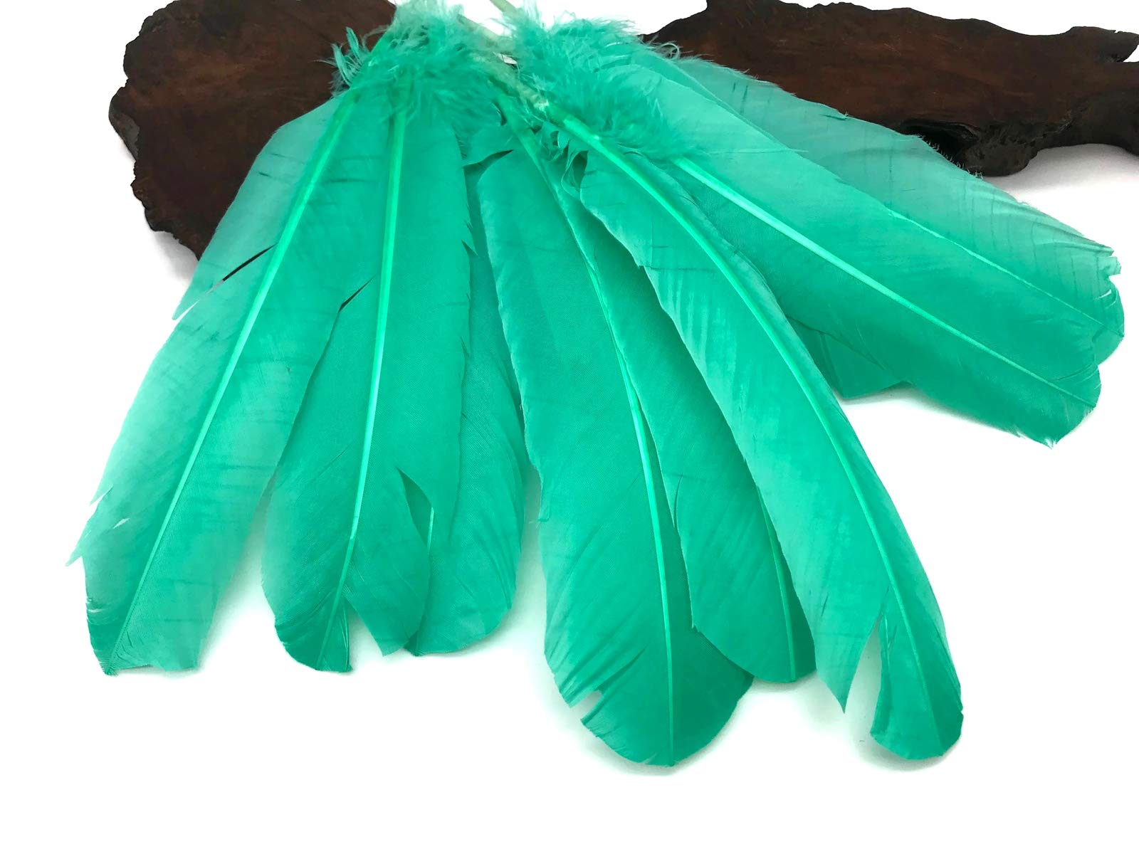 1 Lb. Bulk Aqua Green Turkey Tom Rounds Secondary Wing Quill Feathers for Halloween Crafts, DIY Costumes & Home Decor | Wholesale Craft Supplies by Moonlight Feather