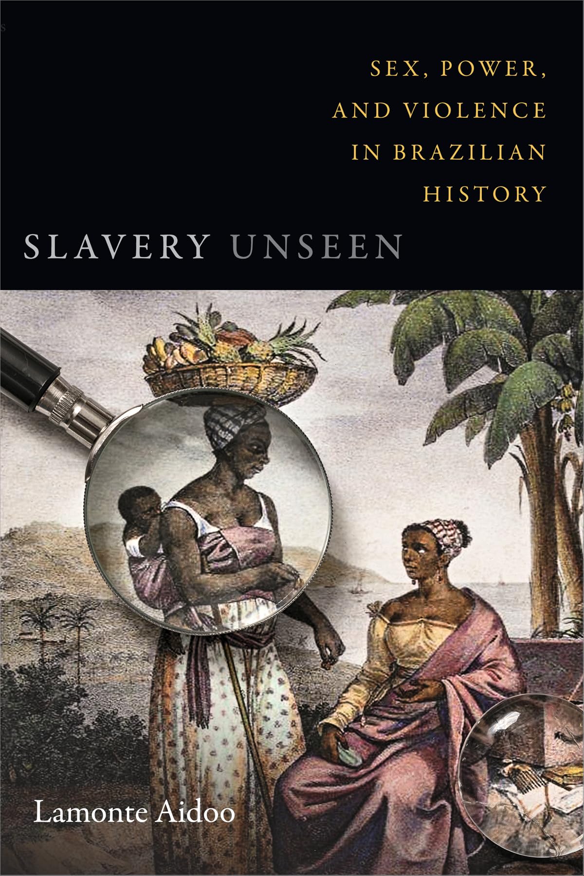 Slavery Unseen: Sex, Power, and Violence in Brazilian History - Latin America Otherwise | Academic Book on Colonial Brazil, Gender Studies & Historical Violence | Perfect for Researchers, Students & History Enthusiasts