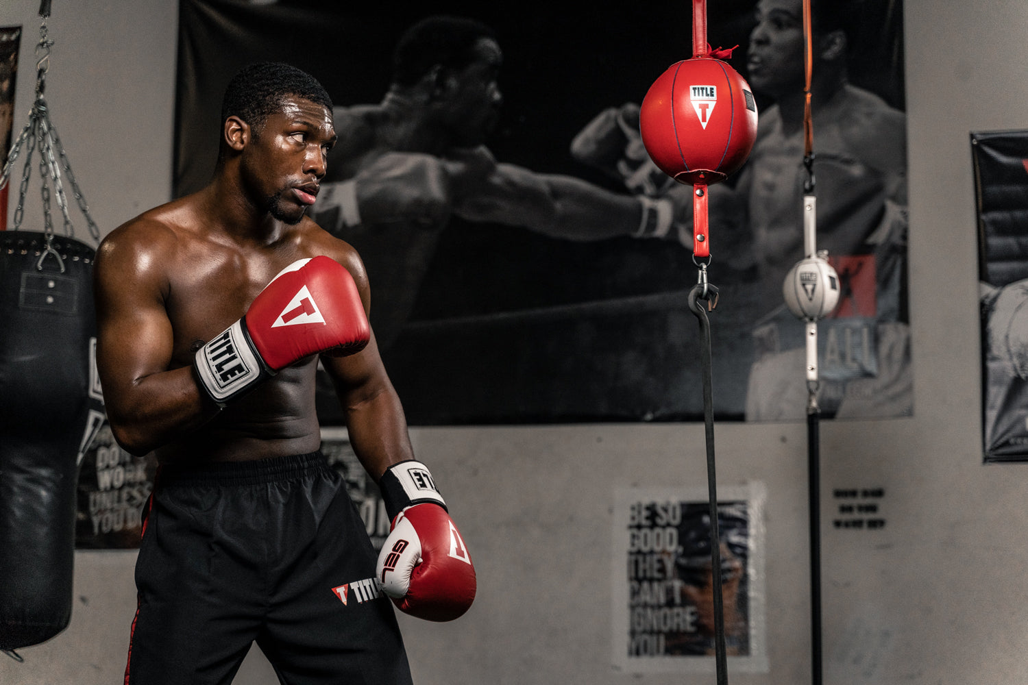TITLE Boxing Double End Bag - Premium Speed & Reflex Training Equipment for Boxing, MMA & Fitness - Perfect for Home Gym & Professional Fighters