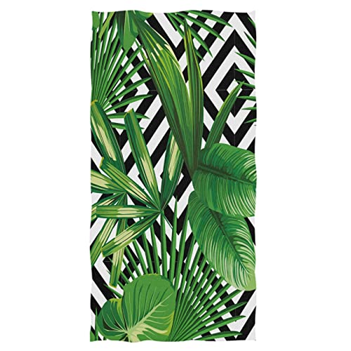 Palm Leaf