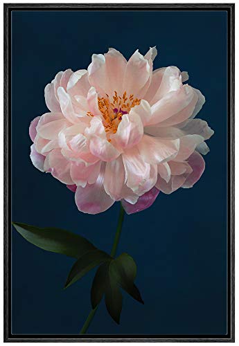 Flower-m05