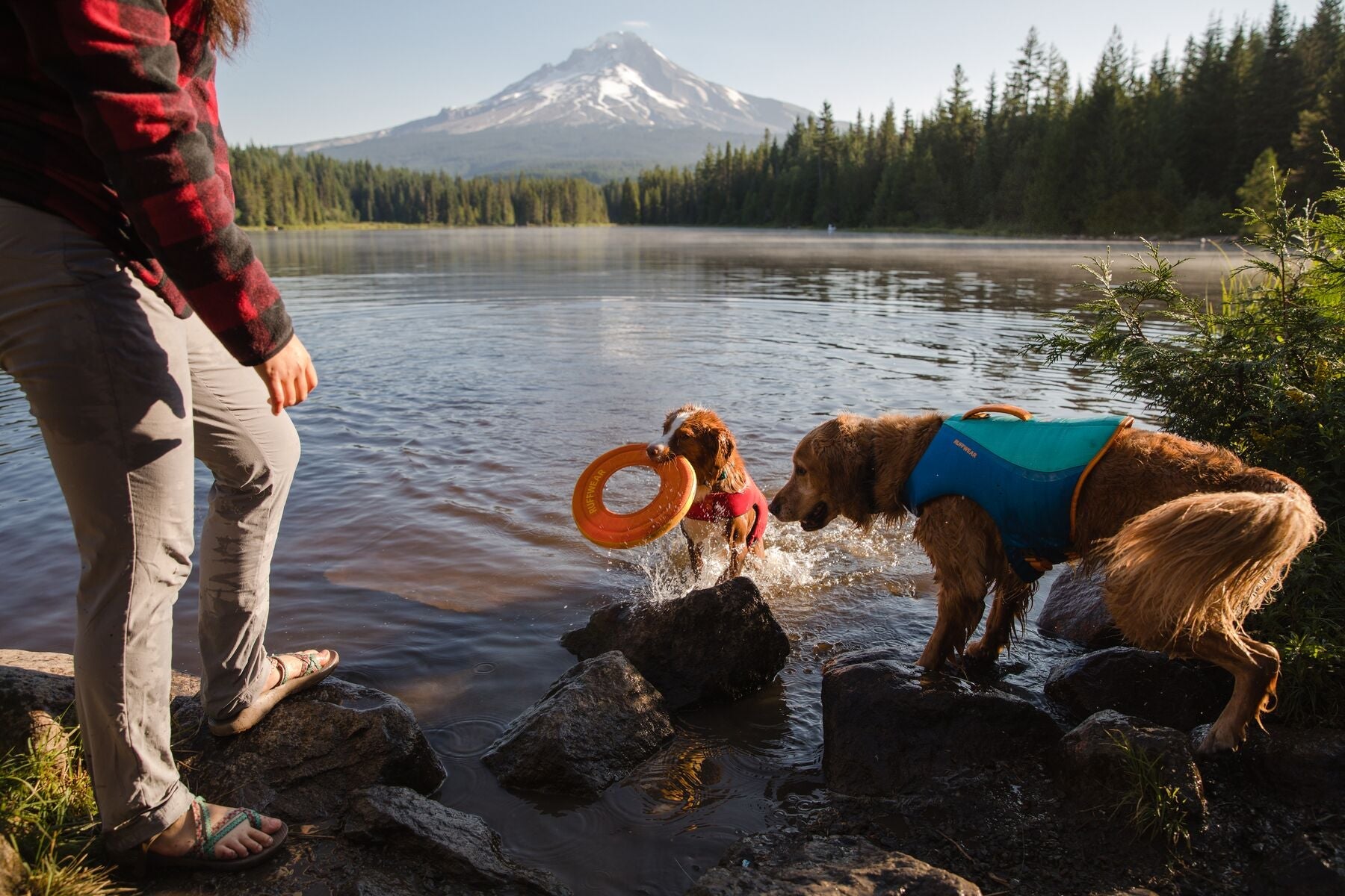 Ruffwear Hydro Plane™ Floating Dog Disc Toy - Tangelo Orange, Waterproof & Durable for Pool, Beach & Outdoor Play - Perfect for Fetch Games with Dogs