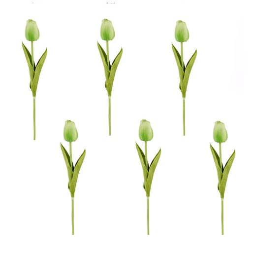6 Pack Realistic Spring Green Tulip Stems - Artificial Silk Tulip Flowers for Home Decor, Easter Centerpieces, Wedding Bouquets & Spring Floral Arrangements