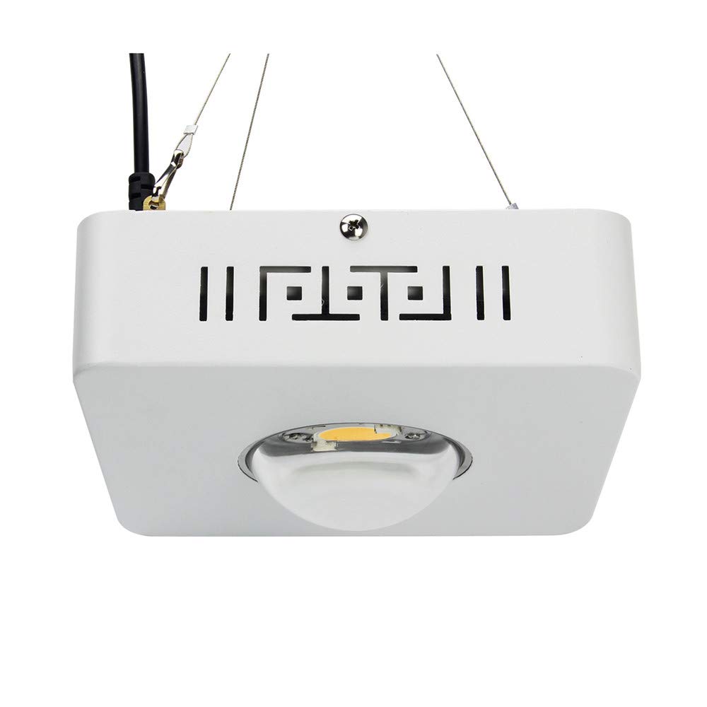 CREE CXB3590 COB LED Grow Light Full Spectrum 65W with MeanWell Driver - 3500K Sunlike White Light for Indoor Plants, Hydroponics, Greenhouse & Home Gardening