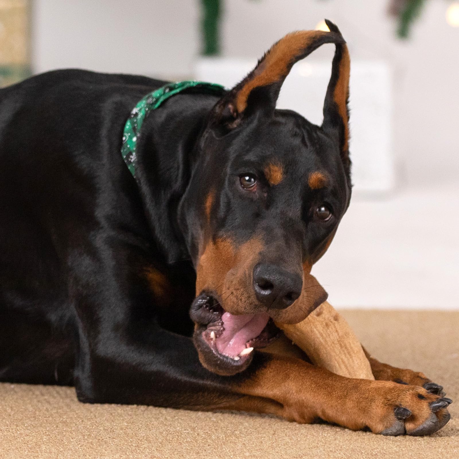 Willjoy 2-Pack Durable Pine Wood & Nylon Dog Chew Toys for Aggressive Chewers - Indestructible Bacon-Flavored Toys for Large Dogs to Keep Them Busy - Perfect for Playtime, Training & Anxiety Relief