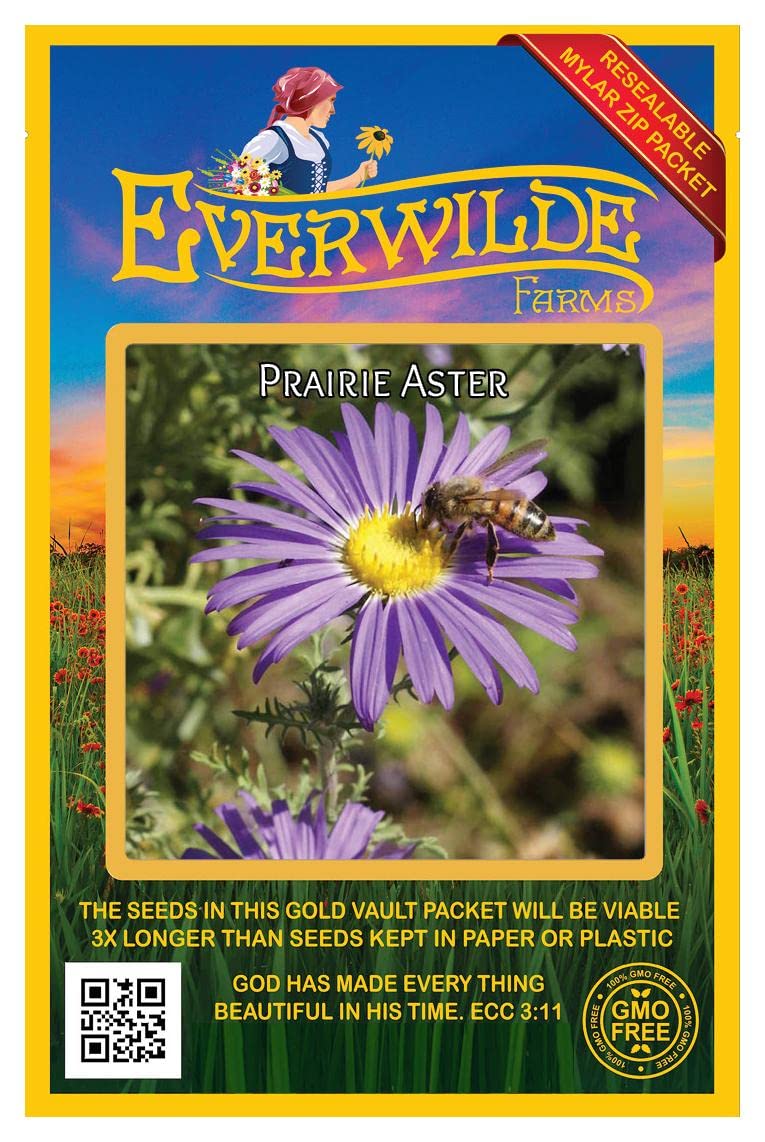 Everwilde Farms 1000 Prairie Aster Native Wildflower Seeds - Gold Vault Jumbo Seed Packet for Garden Planting & Landscaping