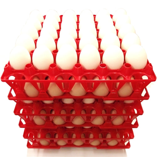 12 Pack of Rite Farm 30-Count Plastic Chicken Egg Trays - Durable Egg Cartons for Poultry Farmers, Backyard Chicken Keepers & Egg Storage