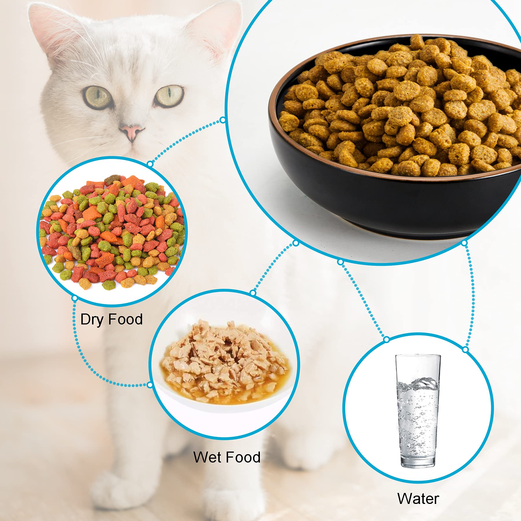 Premium Ceramic Cat Bowls Set - 3 Pack Non-Tip Pet Food & Water Dishes for Cats & Small Dogs (5.3 Inch, Matte Black) - Durable Elevated Cat Feeder for Kitchen, Dining Room & Pet Feeding Station