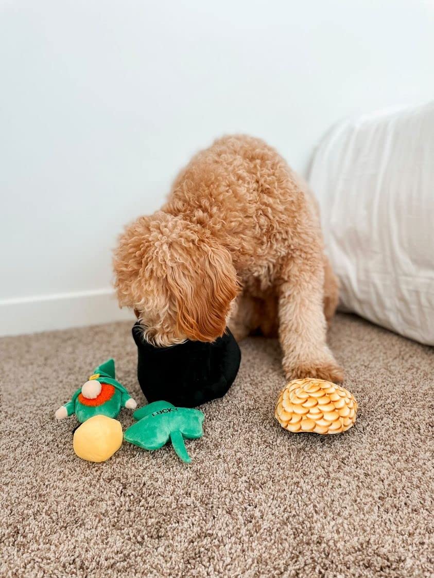 Midlee Hide-A-Toy Pot of Gold St. Patrick's Day Interactive Dog Toy - Fun Puzzle Game for Dogs with Treat Dispenser - Perfect for Training, Playtime & Irish Themed Pet Parties