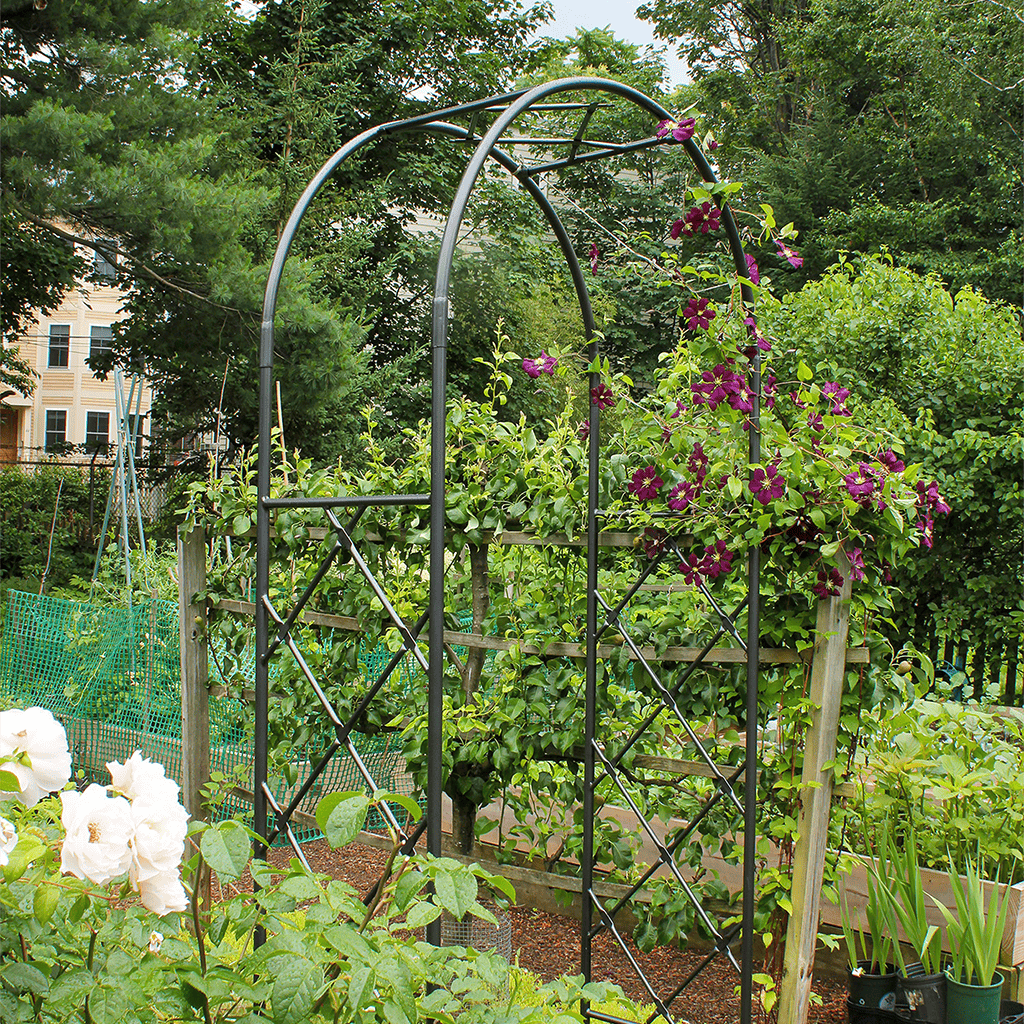 Achla Designs Lattice Arbor I - Decorative Garden Trellis for Climbing Plants, Outdoor Patio & Backyard Decor