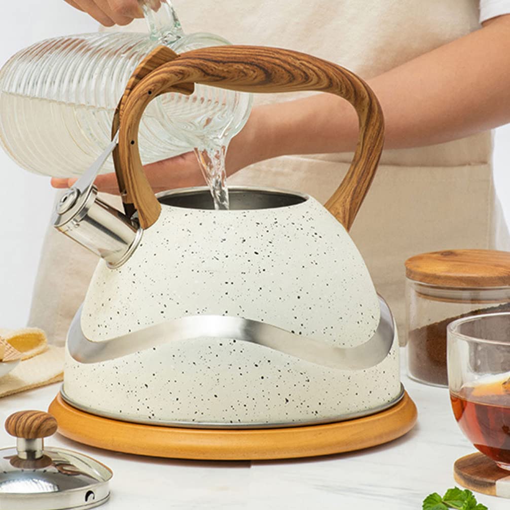 HEMOTON 1pc Stainless Steel Whistling Tea Kettle - Stovetop Whistle Kettle for Gas & Electric Stoves - Classic Tea Pot for Home, Kitchen & Camping - Perfect for Boiling Water, Making Tea & Coffee