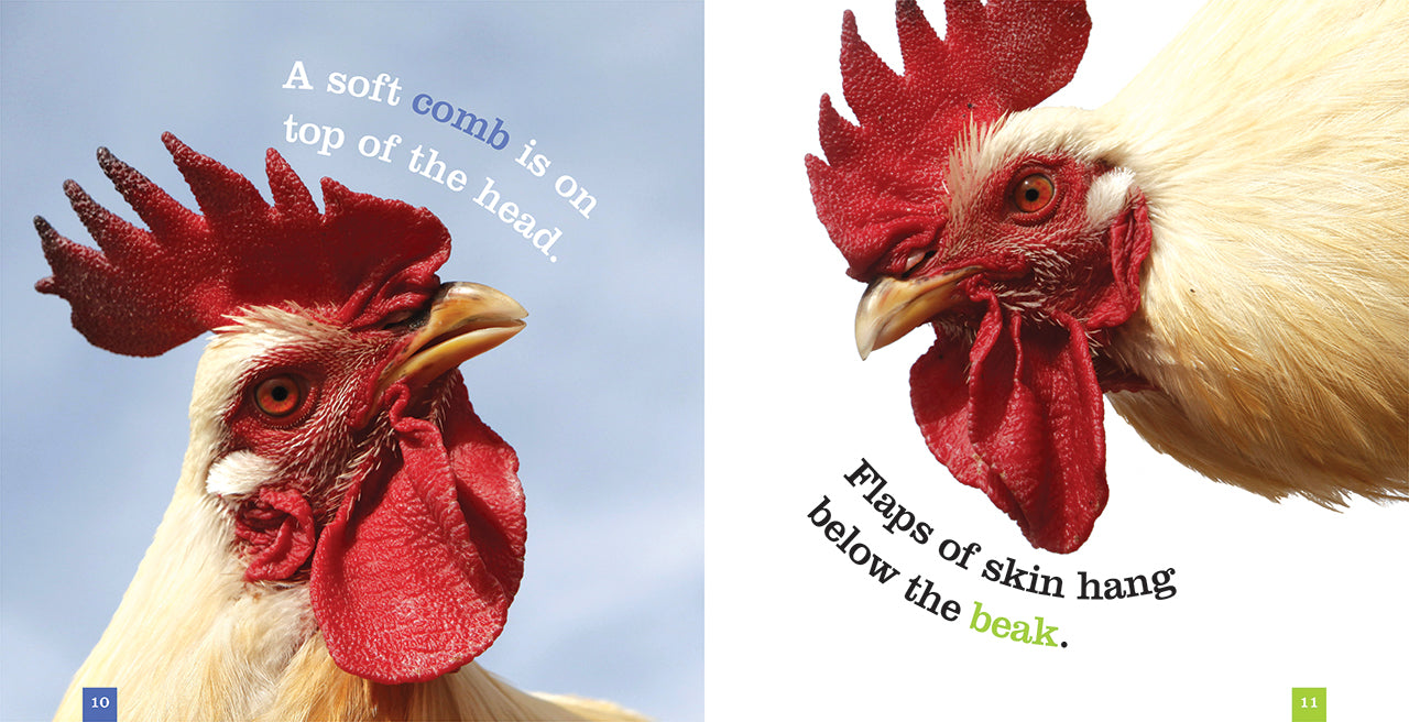 Chickens: The Ultimate Guide to Raising Healthy Poultry - 9781608187836 | Perfect for Backyard Farming & Homesteading