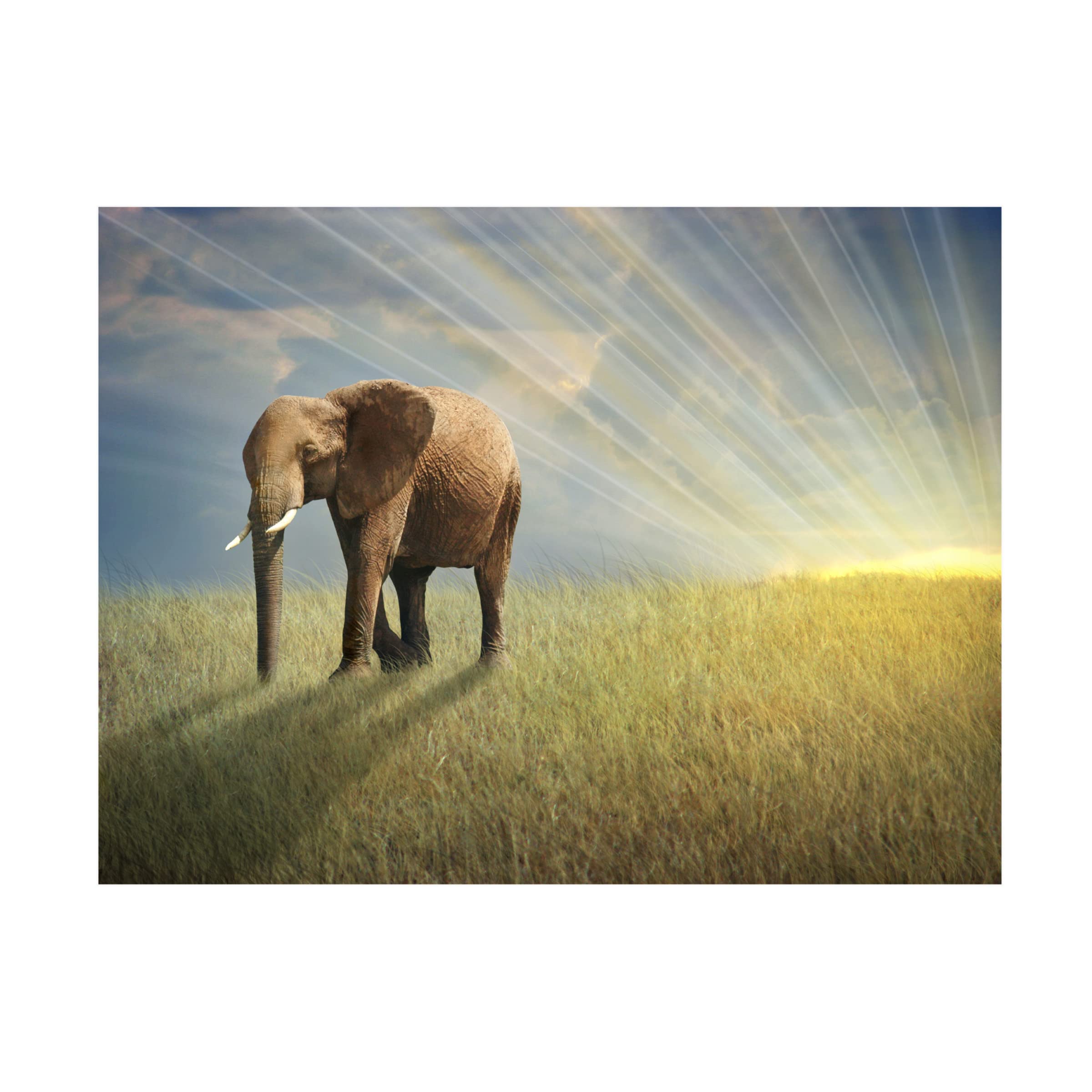 Ben Heine 'Walk With The Light' Canvas Wall Art Print - Modern Abstract Painting for Living Room, Bedroom & Office Decor | Trademark Fine Art Collection