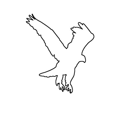 EW Designs Eagle Sticker Decal - Premium Vinyl Bird Accipitridae Car Decal - 5 Inch Bumper Sticker for Cars, Trucks, Windows & Laptops - Perfect for Outdoor Enthusiasts & Wildlife Lovers
