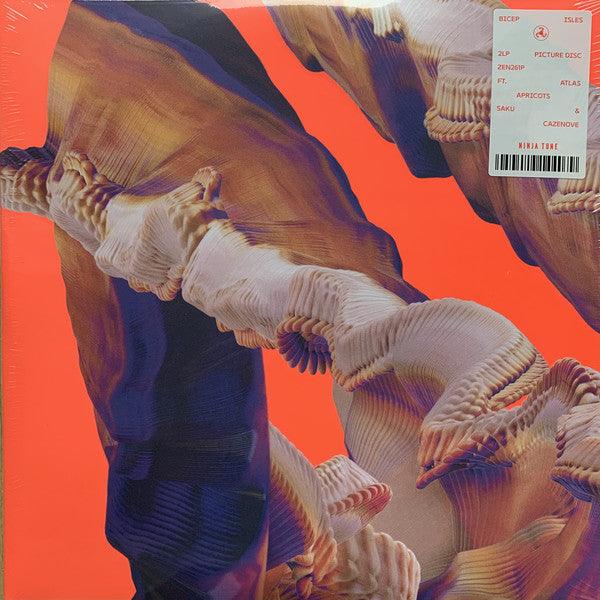 Bicep - Isles (Picture Disc Vinyl) | Electronic Music Album for DJs & Collectors | Perfect for Home Listening & Gifting