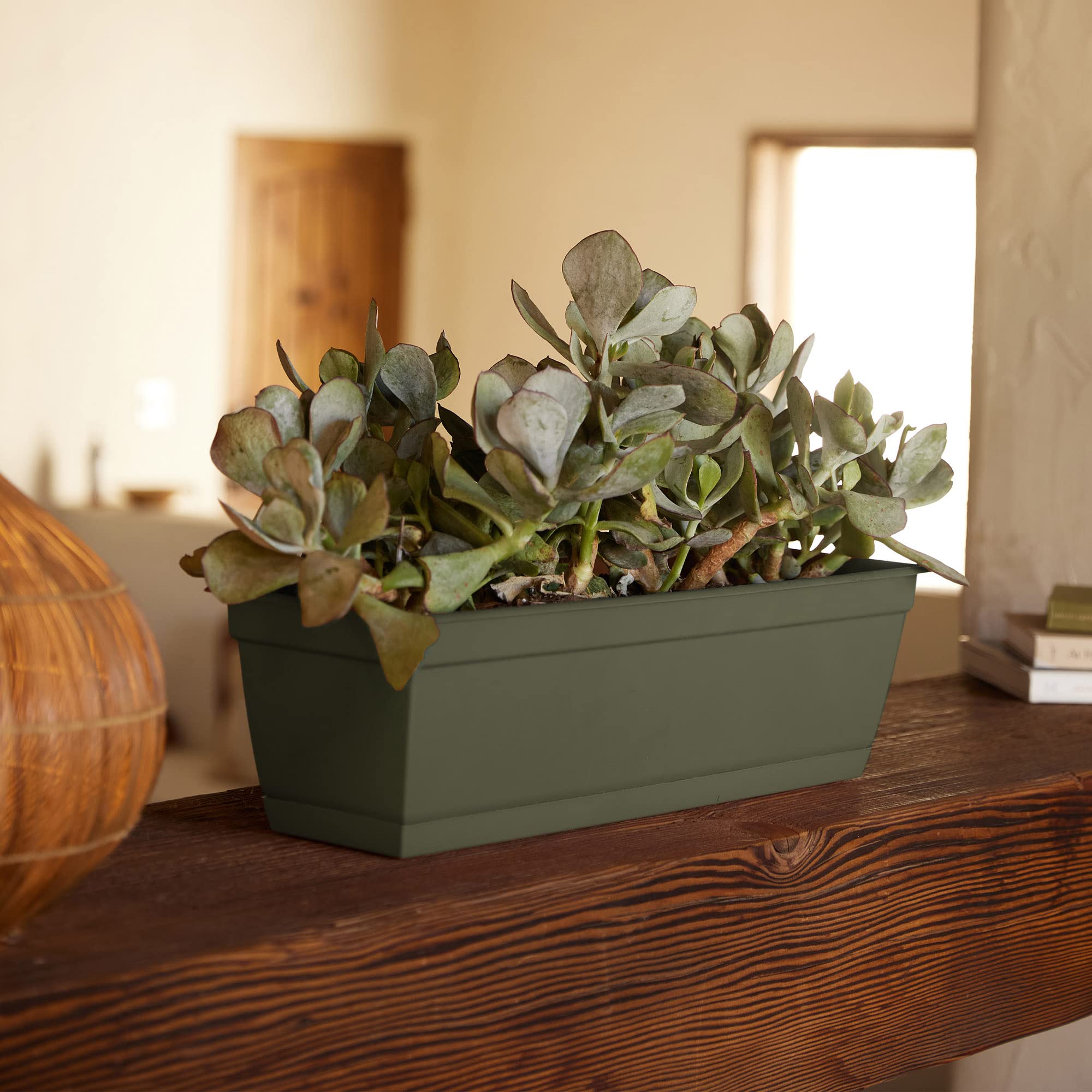 Dura Cotta Window Box Planter 30 Inch - Large Weatherproof Resin Flower Box with Removable Drainage Tray - 4 Gallon Capacity for Indoor & Outdoor Gardening - Perfect for Windowsills, Balconies, Patios and Home Decor