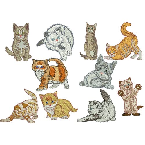 Cats4
