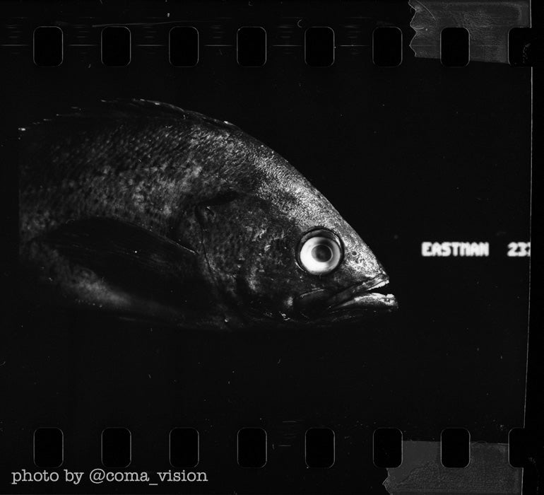 Kodak Eastman Hi-Fi 2374 35mm Black & White Film - Perfect for Vintage Photography, Street Shots & Artistic Projects