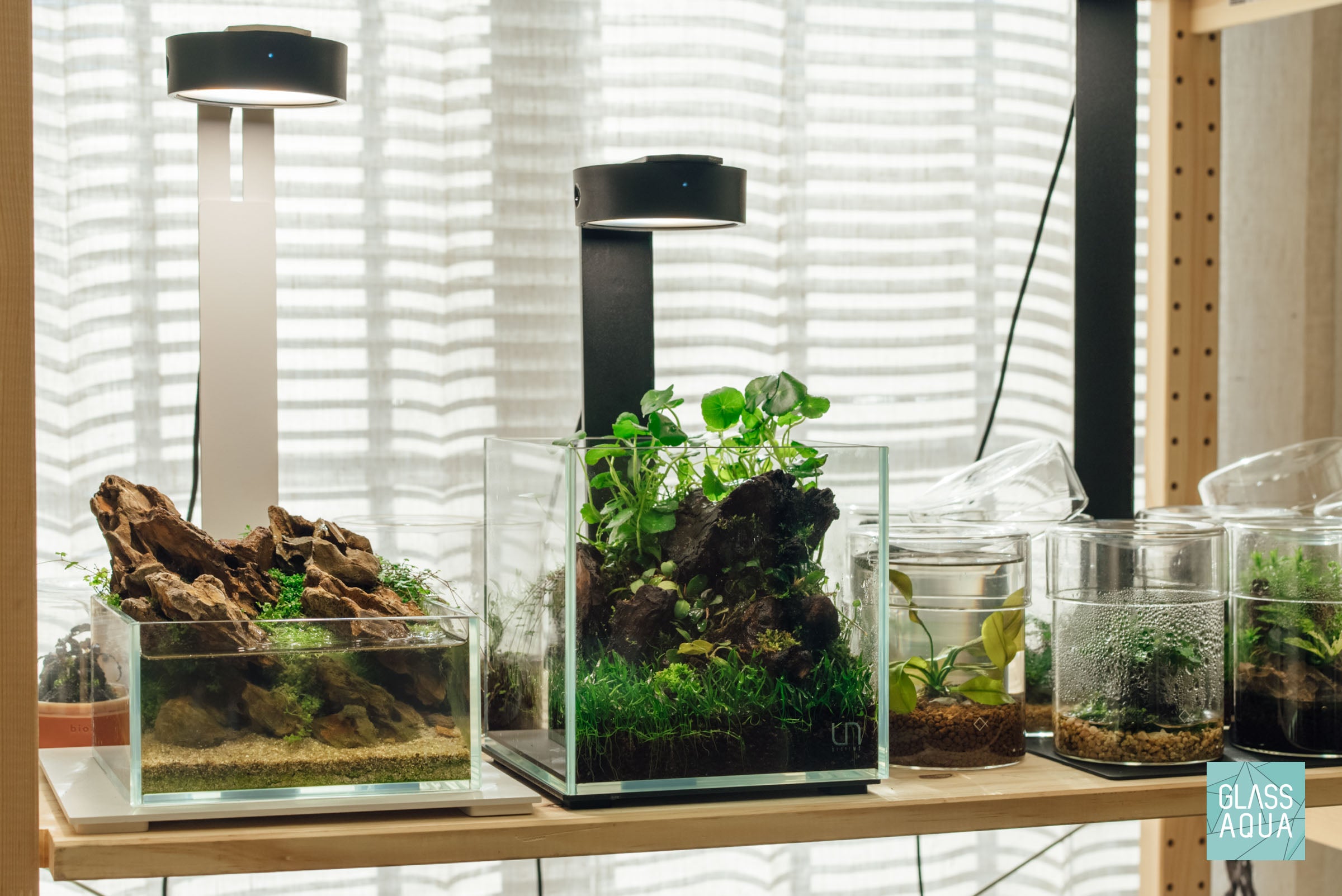Premium UNS Rimless Cube Glass Aquarium Tank - 5 Gallon Crystal Clear Nano Fish Tank for Betta, Shrimp & Aquatic Plants | Perfect for Home, Office & Classroom Decor