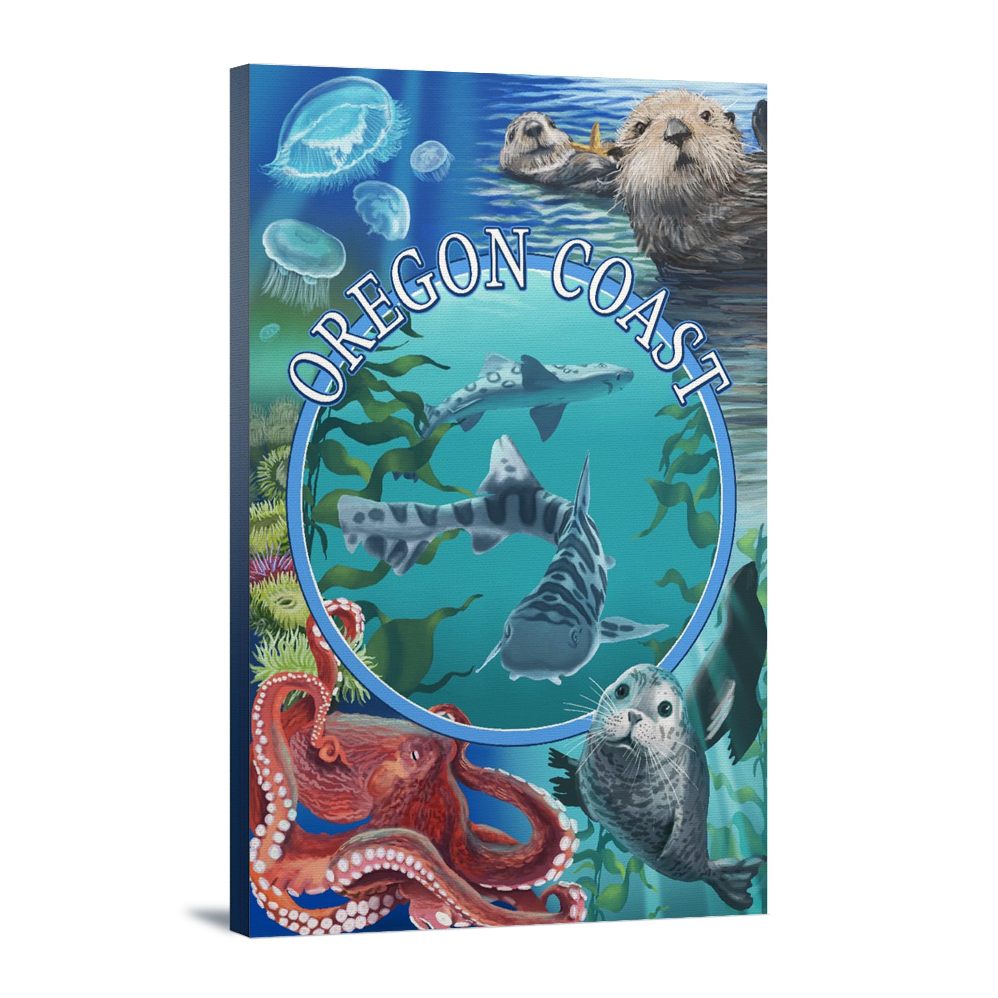 Lantern Press Oregon Coast Sealife Animals Wall Art - 16x24 Wrapped Canvas Print for Beach House Decor, Ocean Themed Living Room & Coastal Bedroom
