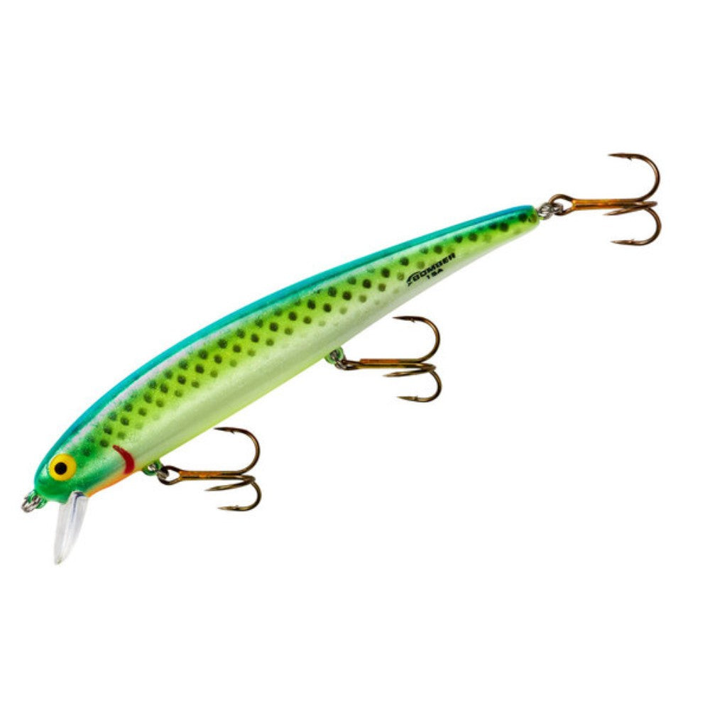 426 - Citrus Minnow