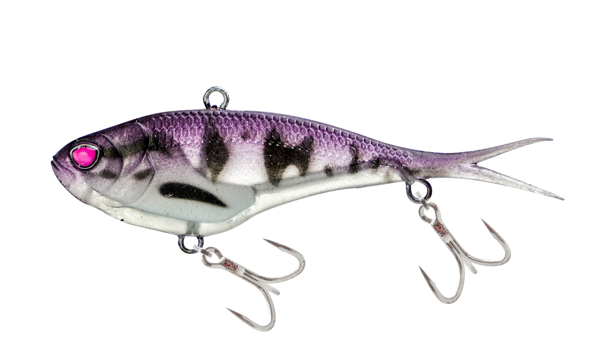 Purple Bandit