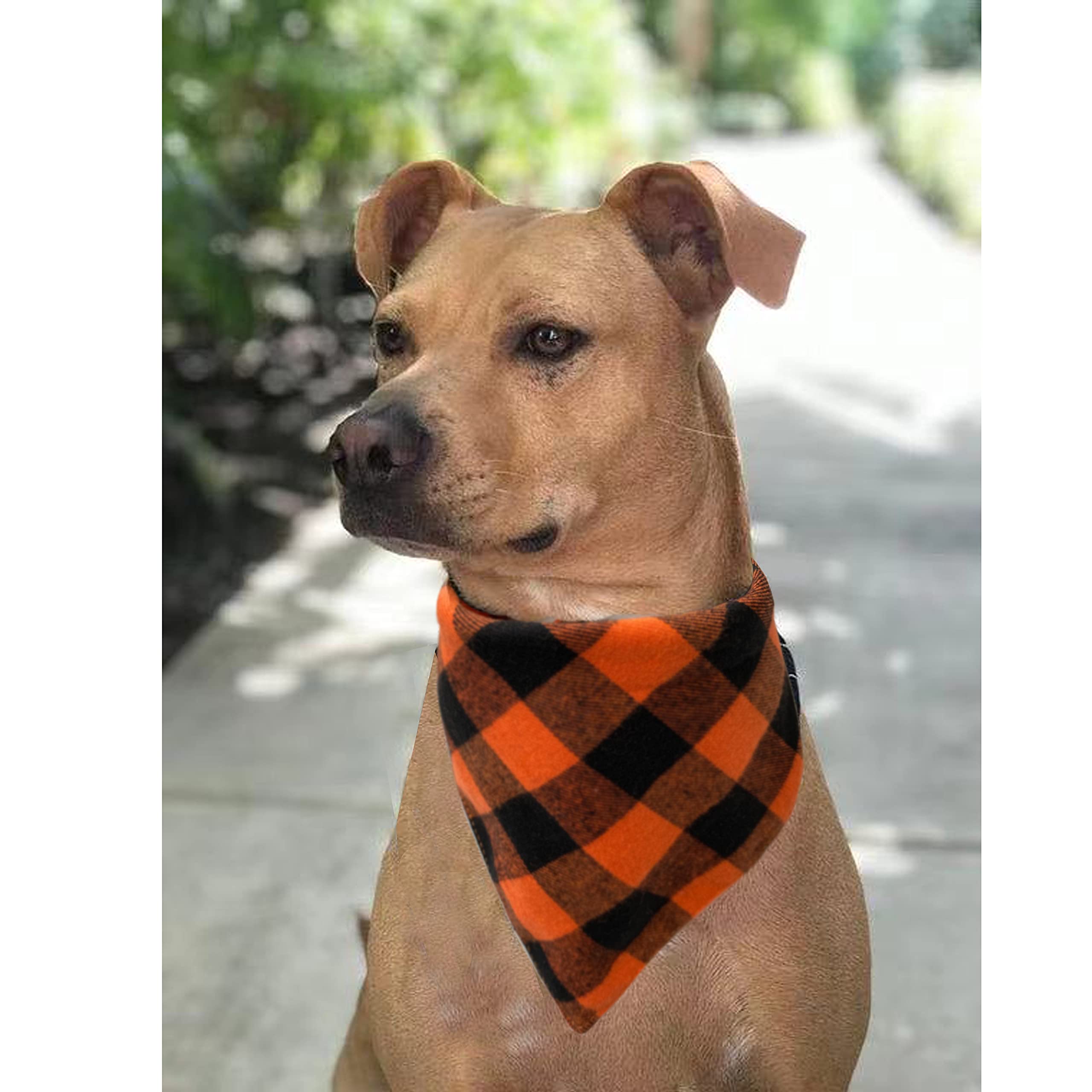 Realeaf Thanksgiving Fall Dog Bandanas 2 Pack - Orange Plaid Pet Scarf for Small & Medium Dogs | Premium Durable Fabric Holiday Bandanas for Boy & Girl Puppies | Perfect for Halloween, Thanksgiving & Autumn Photo Shoots