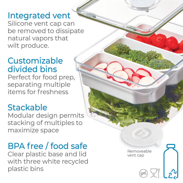 Large Fresh Produce Storage Bin with 3 Adjustable Dividers - Perfect for Organizing Fruits & Vegetables in Kitchen, Pantry or Refrigerator