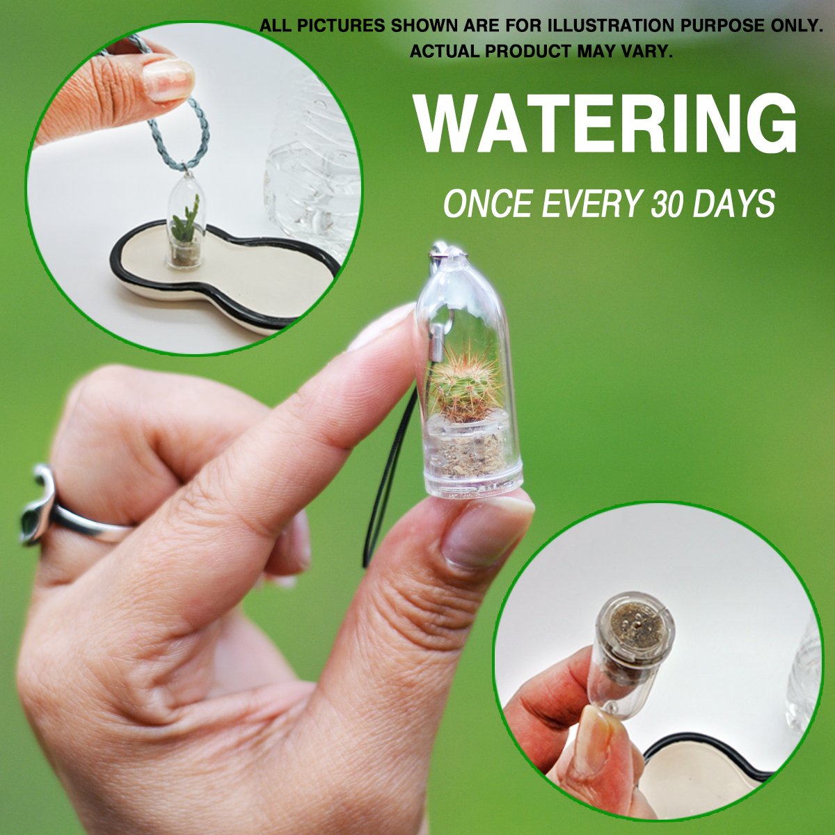 Live Succulent Terrarium Necklace with Pearls & Cacti - Unique Plant Jewelry Keychain for Women, DIY Terrarium Capsule Pendant (Pearls & Blue Clip) - Perfect for Boho Fashion, Gift Ideas & Nature Lovers