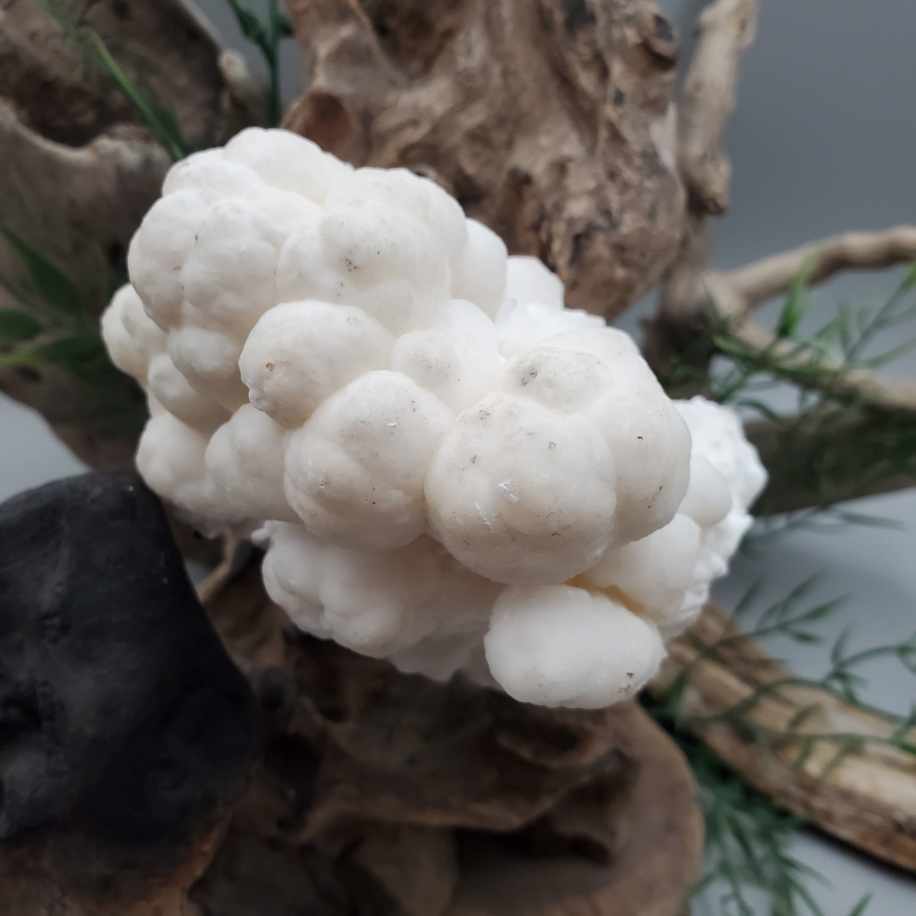 Natural Aragonite Crystal Specimen - Collectible Mineral for Home Decor, Healing Crystals & Geology Enthusiasts | Perfect for Display Cases, Meditation Spaces & Gift Giving