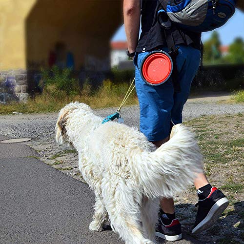 Foldable Collapsible Silicone Pet Travel Bowl for Dogs & Cats - 350ml Portable Water Food Dish with Carabiner Clip (Green) - Perfect for Hiking, Camping & Outdoor Adventures