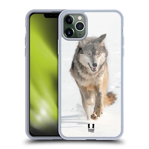 Grey Wolf Running