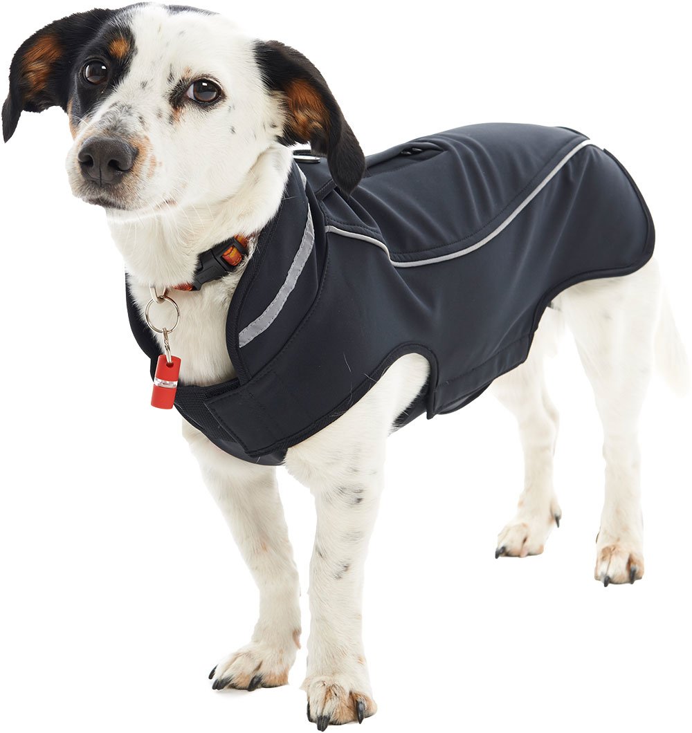 Kruuse Buster Softshell Dog Coat - Black Pepper Color, X-Large Size - Waterproof & Windproof Winter Jacket for Large Breed Dogs - Perfect for Outdoor Walks, Hiking & Cold Weather Protection