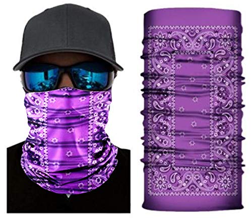 Purple Paisley