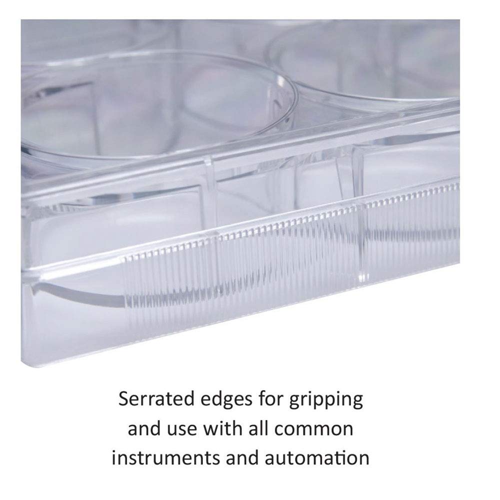 12-Well Non-Treated Cell Culture Plates, Sterile Tissue Culture Plates, Individually Wrapped (100 Count) - Perfect for Lab Research, Cell Growth Studies & Biomedical Experiments