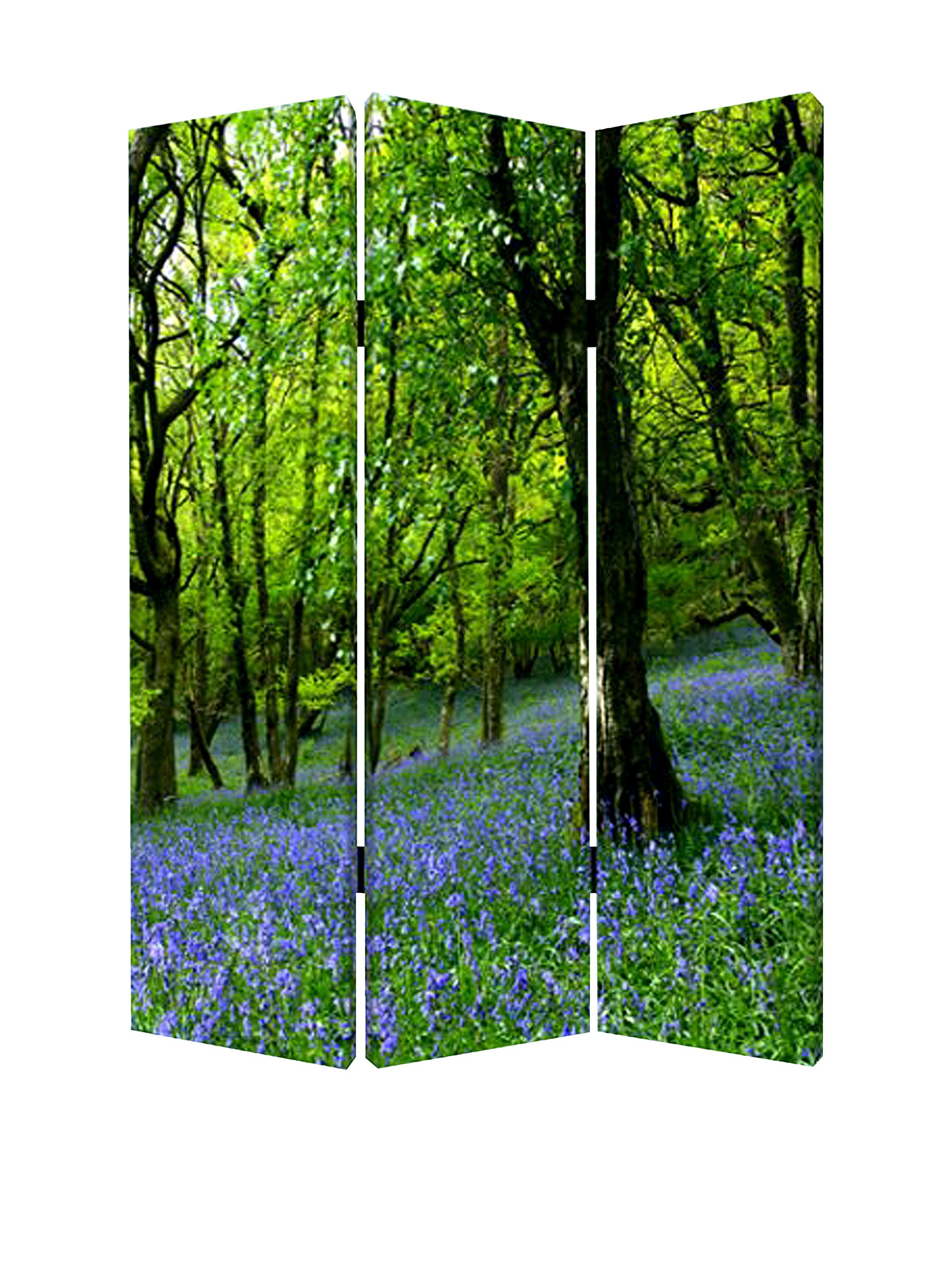 Screen Gems Meadows And Streams Room Divider - 6-Panel Folding Privacy Screen for Home & Office - Perfect for Room Separation, Decoration, and Creating Private Spaces