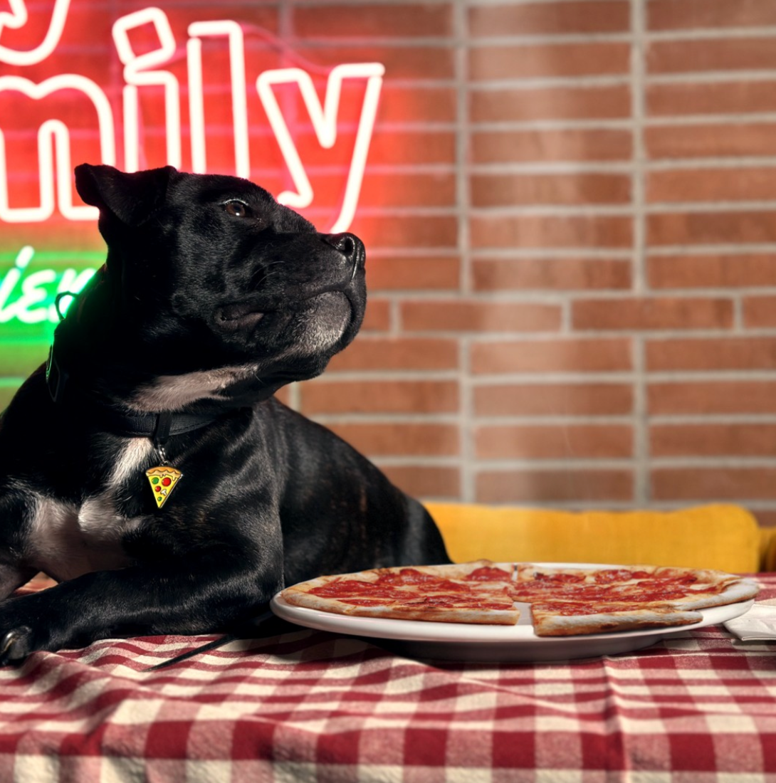 Funny Pizza-Shaped Dog ID Tag - Personalized Pet Name Tag for Dogs - Perfect for Collars, Harnesses & Pet Accessories