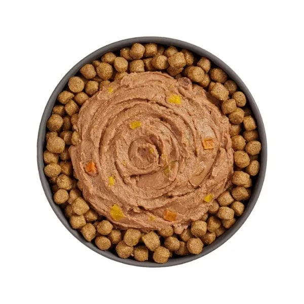 Premium Go! Solutions Booster Digestive Health Wet Cat Food - Tuna & Salmon Pate for Sensitive Stomach | Supports Digestion & Nutrient Absorption | Ideal for Indoor Cats & Kittens with Food Sensitivities