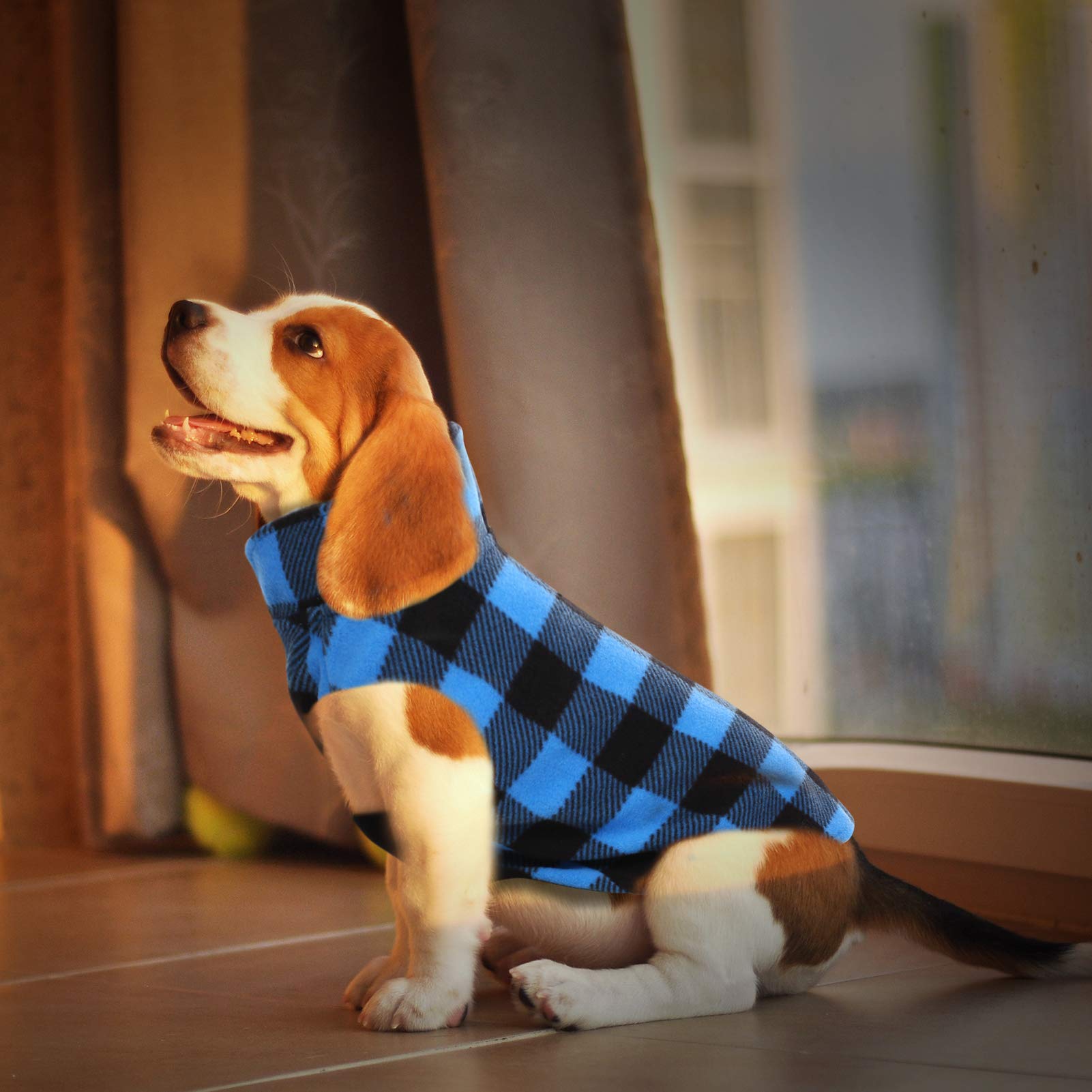 ASENKU Reversible Plaid Dog Shirt & Sweater Vest - Pet Apparel for Small, Medium & Large Dogs - Blue, Size M - Cozy Outfit for Walking, Travel & Outdoor Adventures