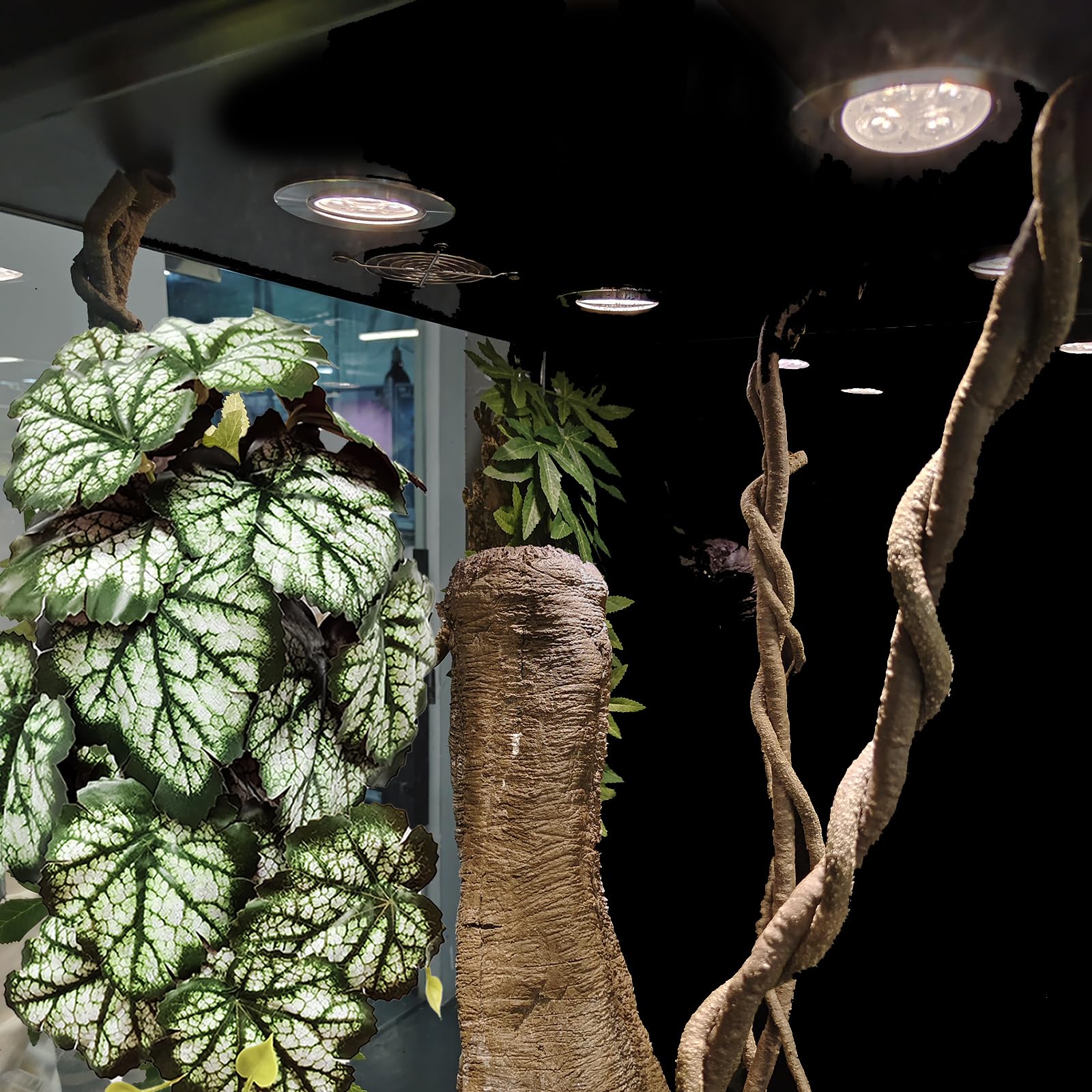Woyrise Reptile Plants - 2 Pack Green Heuchera Terrarium Hanging Vines with Suction Cups for Bearded Dragon, Lizard, Snake, Gecko, Frog & Hermit Crab - Natural Amphibian Habitat Decor for Reptile Tanks - Perfect for Jungle Themed Enclosures & Bioactive Vivariums