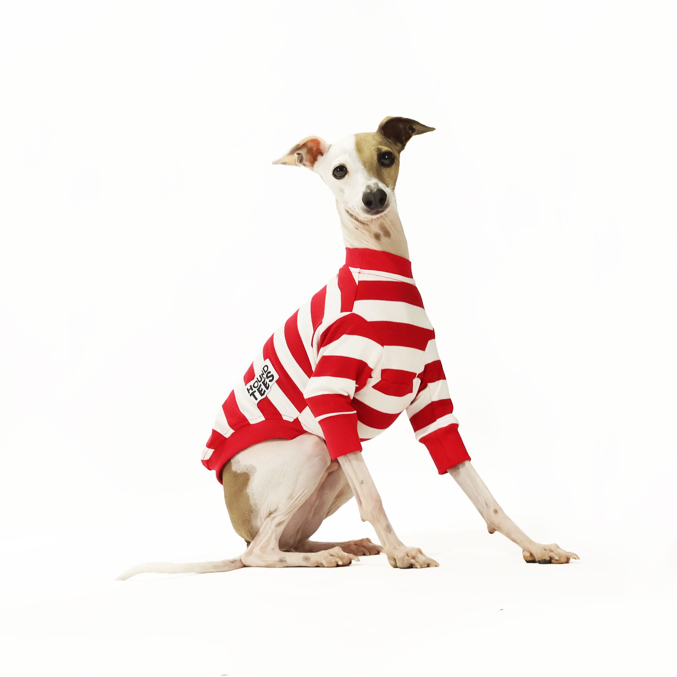 Italian Greyhound Long Sleeve Dog T-Shirt - Comfortable Pet Apparel for Small Dogs - Perfect for Walks, Photo Shoots & Cozy Indoor Wear