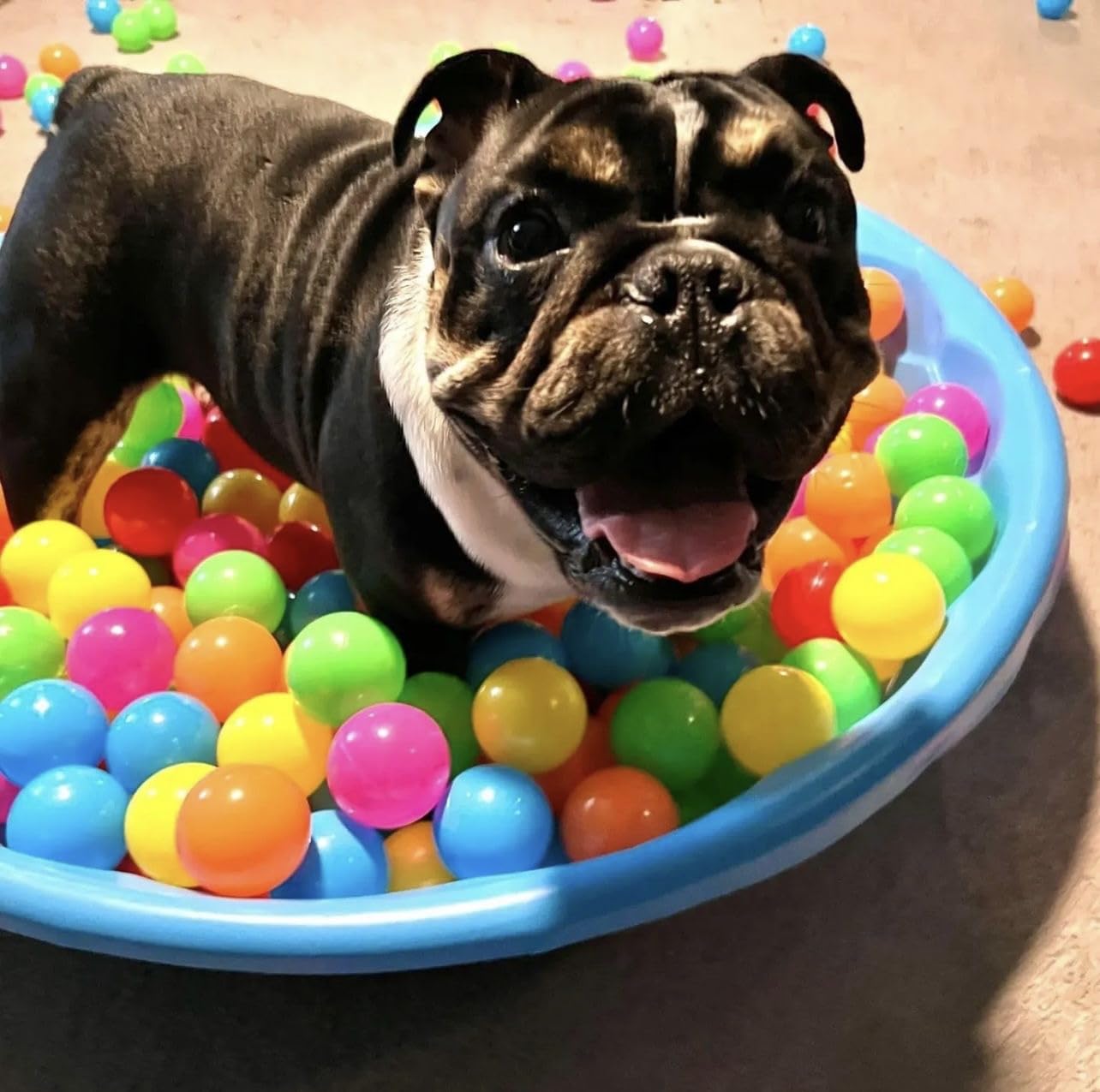 200/500/1000/2000 Count BPA-Free Plastic Play Pit Balls (2.2